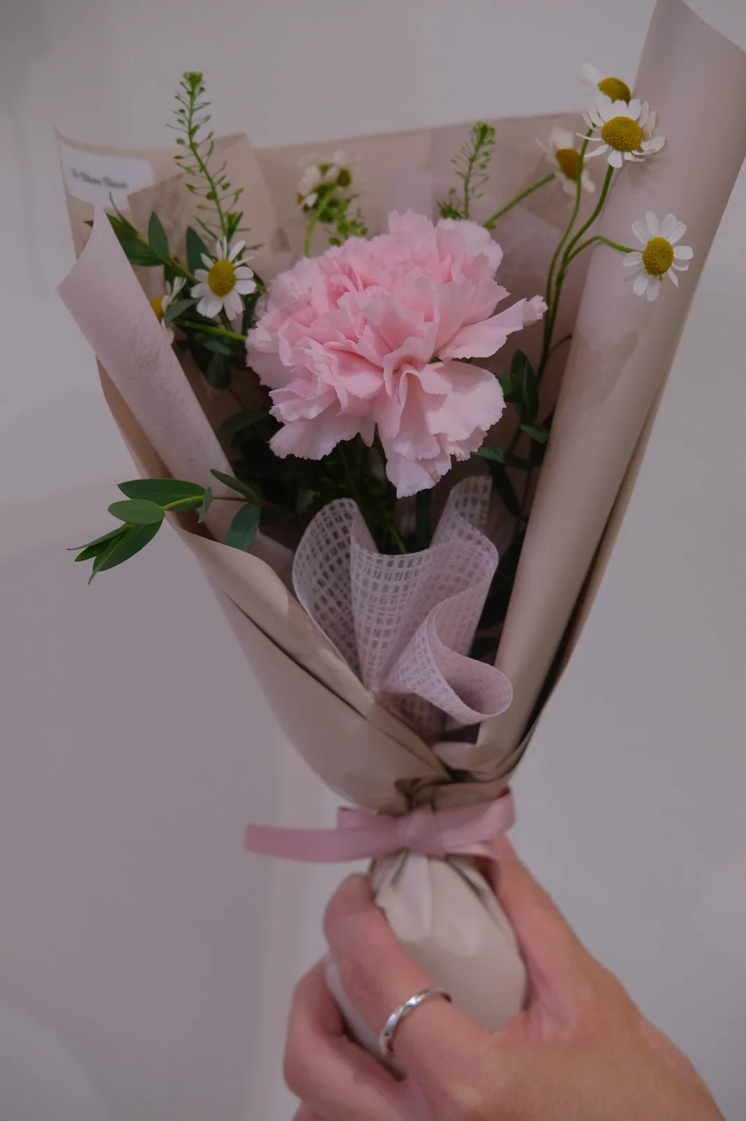 單支粉色康乃馨花禮，手持